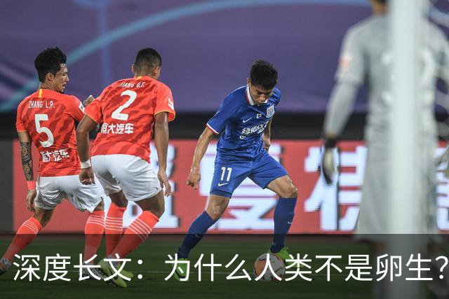 深度长文：为什么人类不是卵生？说出来你可能不信，这事3亿年前就定好了